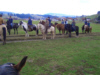 Bild_2